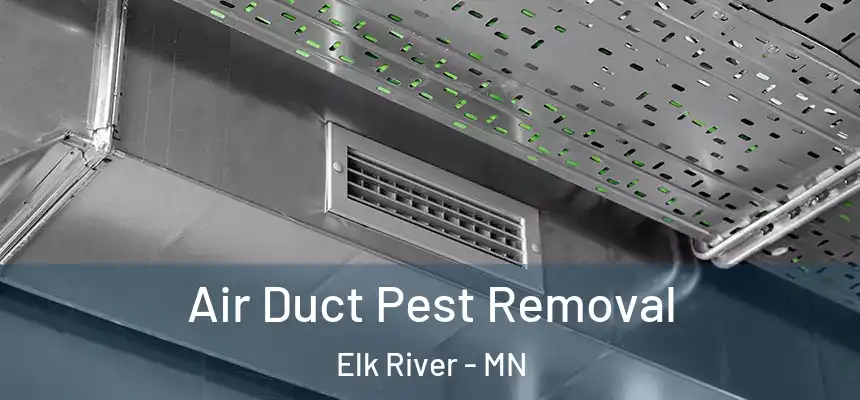 Air Duct Pest Removal Elk River - MN