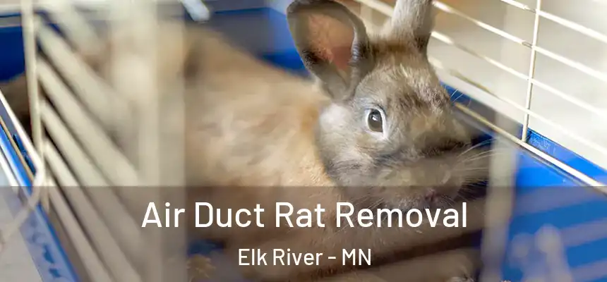  Air Duct Rat Removal Elk River - MN