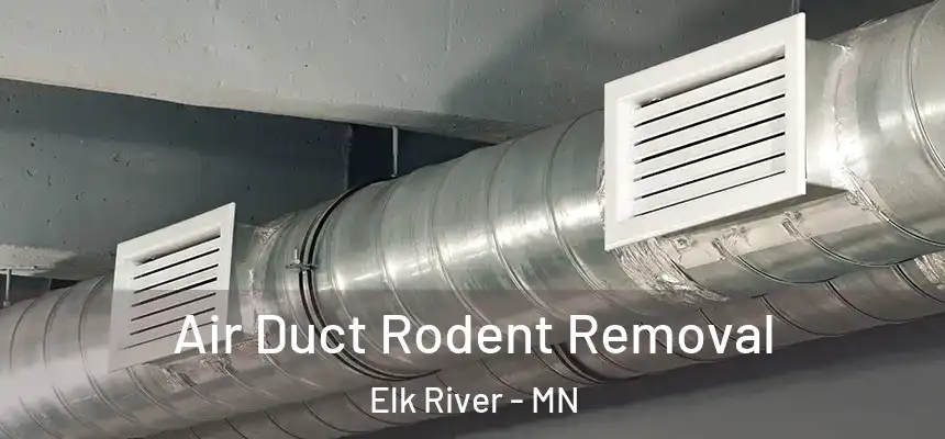  Air Duct Rodent Removal Elk River - MN