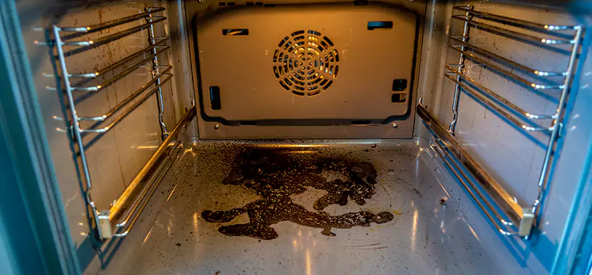 Our Dryer Vent Mold Cleaning Services in Elk River, MN