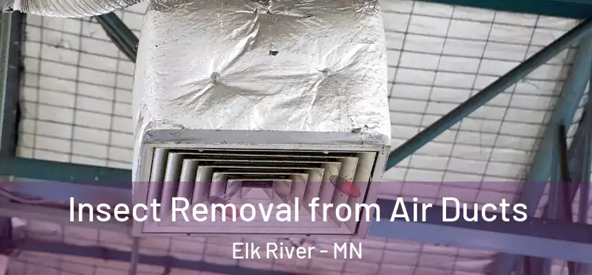  Insect Removal from Air Ducts Elk River - MN