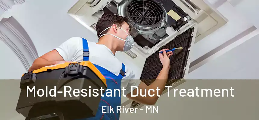  Mold-Resistant Duct Treatment Elk River - MN