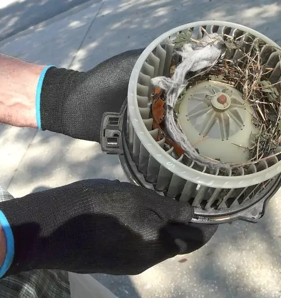 About Air Duct Rat Removal in Elk River, MN