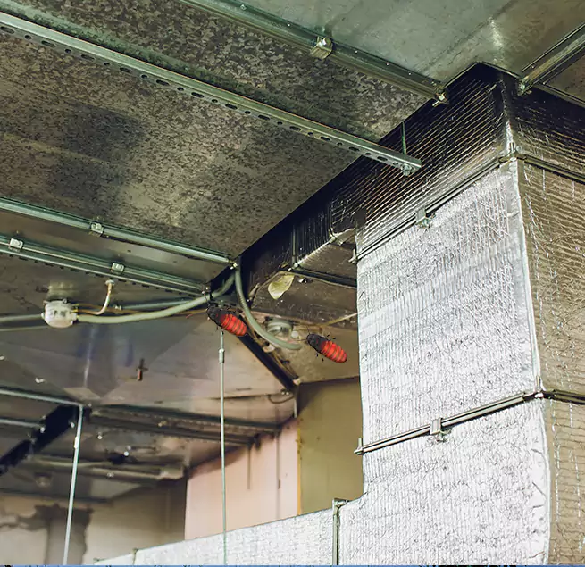 Why Homeowners & Businesses Trust Us in Elk River, MN?