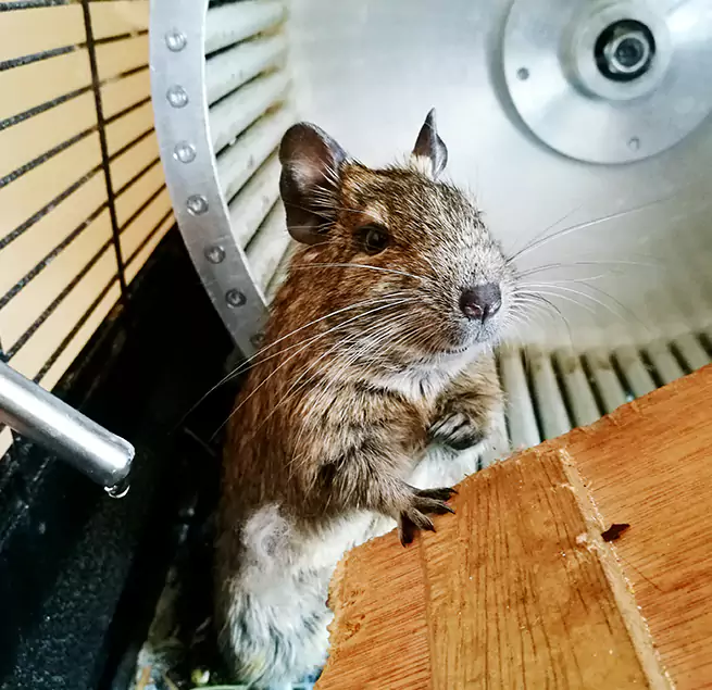 Why Homeowners & Businesses Trust Us Elk River, MN?