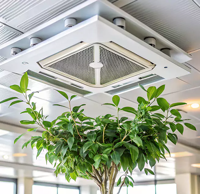 Why Homeowners & Businesses Trust Us in Elk River, MN?